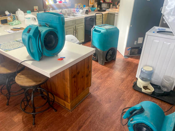 Best Sewage cleanup and water damage restoration  in Sandusky, OH