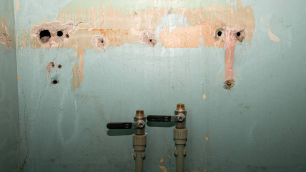Best Ceiling water damage repair  in Sandusky, OH