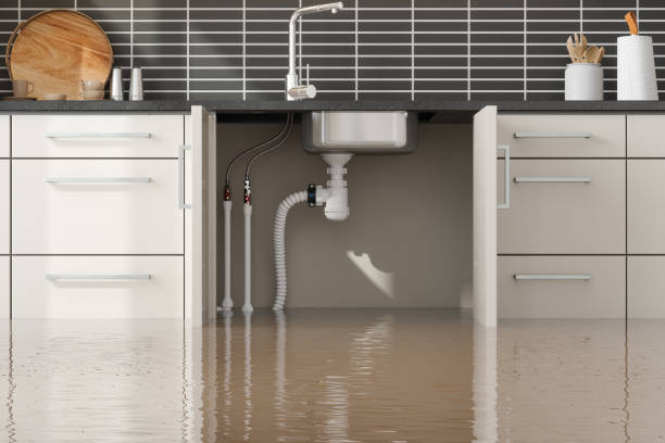 Best Flood damage cleanup  in Sandusky, OH